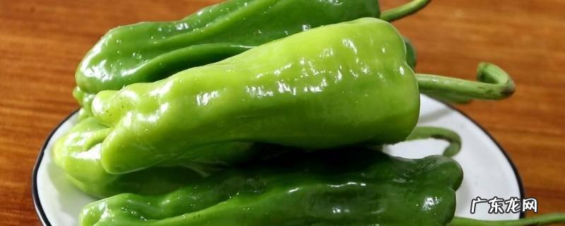 肉炒大辣椒怎么炒好吃 大辣椒怎么炒好吃