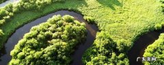 生物资源包括哪些内容请列举三条 生物资源包括哪些内容