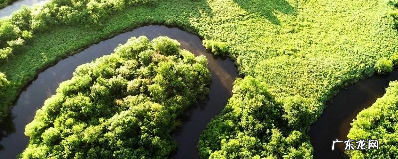 生物资源包括哪些内容请列举三条 生物资源包括哪些内容