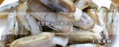 生蚝放冰箱能放多久,新鲜生蚝可以放冰箱冷藏多久