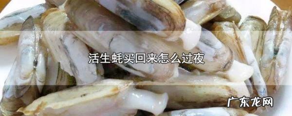 生蚝放冰箱能放多久,新鲜生蚝可以放冰箱冷藏多久