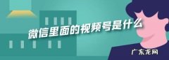 微信里的号是什么,微信里面的号是怎么出来的