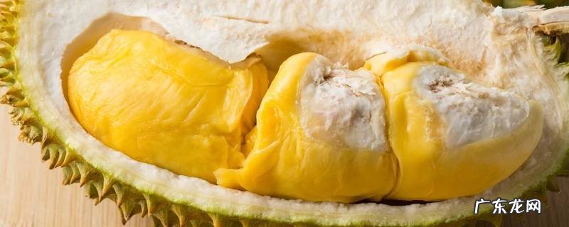 榴莲开了之后没有熟怎么办 榴莲开出来没有熟怎么办