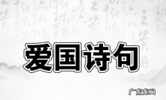 弘扬民族精神的诗歌名言,爱国的诗句与名言有哪些