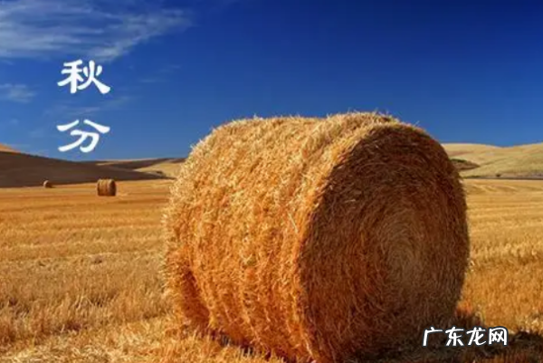 秋分是农历还是公历,秋分是几月几日
