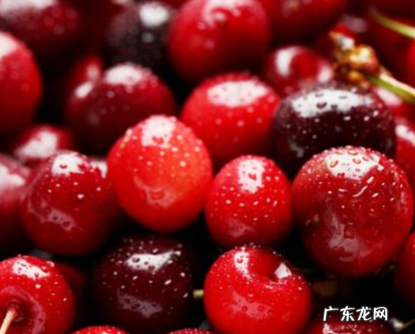 车厘子在冰箱里可以放几天,车厘子可以放几天不坏