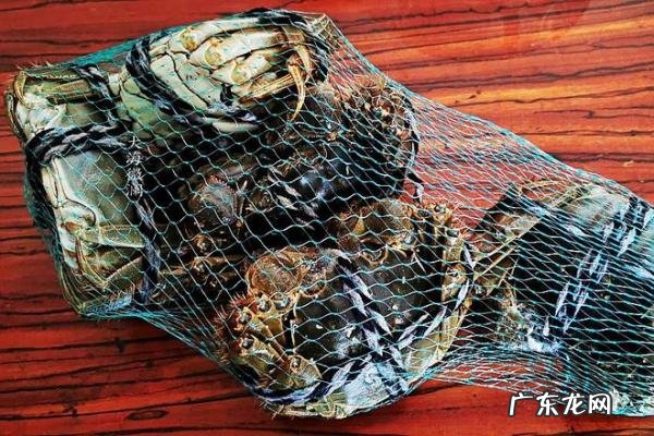 三两的螃蟹要蒸多久,3两左右的螃蟹蒸多长时间