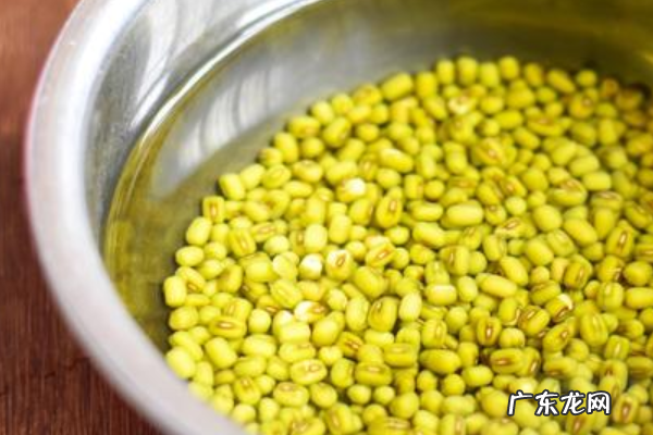绿豆芽可以长多高,绿豆芽前十天生长长度分别是多少