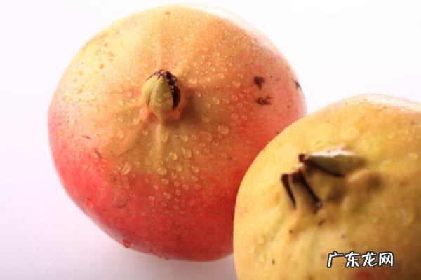 石榴盆栽种植方法是什么,石榴盆栽种植方法和注意事项