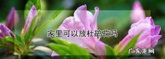 家里养杜鹃花好,家里可以放杜鹃花