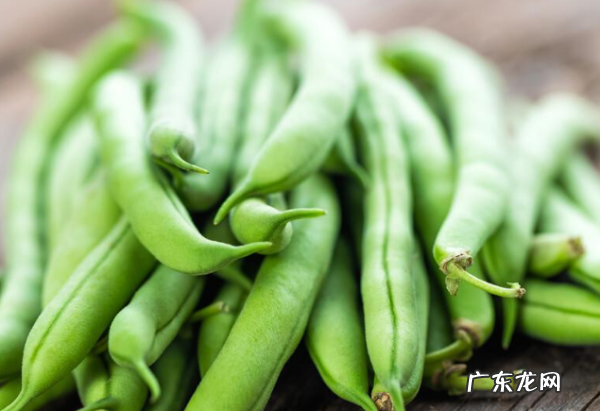 什么蔬菜可以冷冻保存,什么蔬菜可以冷冻保存冬天吃