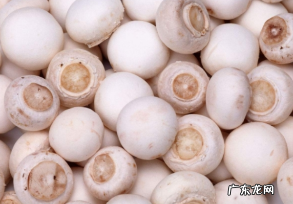 什么蔬菜可以冷冻保存,什么蔬菜可以冷冻保存冬天吃