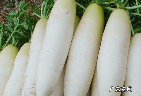什么蔬菜可以冷冻保存,什么蔬菜可以冷冻保存冬天吃
