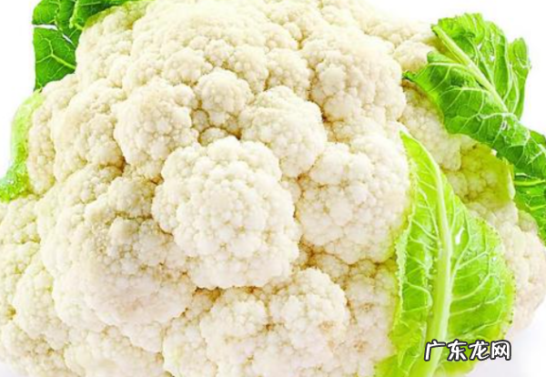 什么蔬菜可以冷冻保存,什么蔬菜可以冷冻保存冬天吃