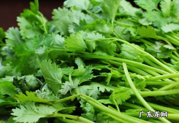 什么蔬菜可以冷冻保存,什么蔬菜可以冷冻保存冬天吃