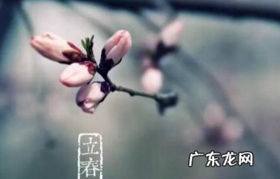 立冬的前一天叫什么,立冬的前一天叫什么日子