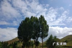 葱葱茏茏的意思,葱葱茏茏表示什么意思