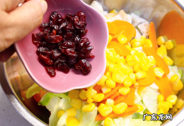 蔬菜沙拉可以放哪些蔬菜,沙拉蔬菜有哪些食材
