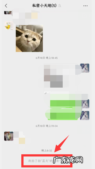 微信怎么拍了拍,微信的拍了拍在哪里设置