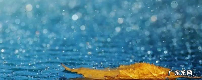 跟雨有关的名字 和雨有关的名字