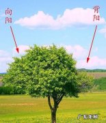 在大自然迷路了怎么辨别方向,假如你在野外迷了路怎样辨别方向河流