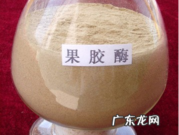 果胶酶的作用原理,果胶酶为什么使泡菜变脆
