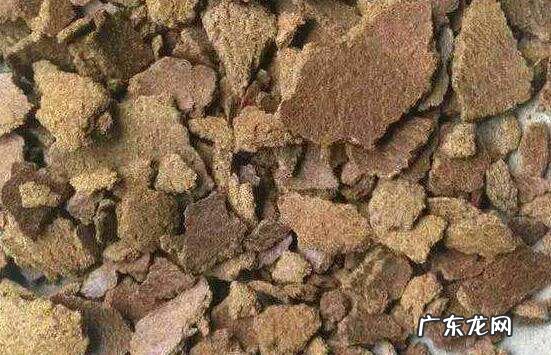 鸿运当头怎么养才红,鸿运当头花怎么养才红施什么肥