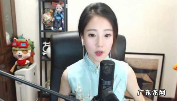 皮燕子是什么,皮燕子是什么