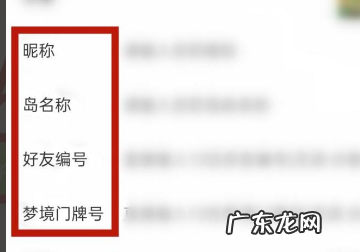 动森怎么查看手机,动森左上角zl怎么打开