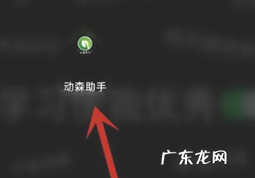 动森怎么查看手机,动森左上角zl怎么打开