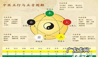 五音实际上是指声音的什么,五音不全的五音指什么意思