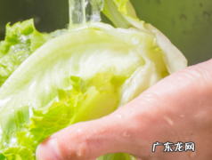 生菜种子需要泡水,生菜种子没泡水种下能发芽