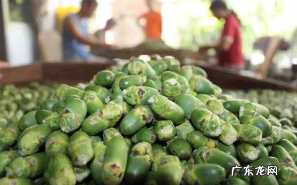 槟榔是什么东西怎么吃,槟榔是什么