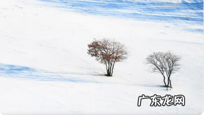 象征冬天的东西有哪些,冬天的象征物有哪些
