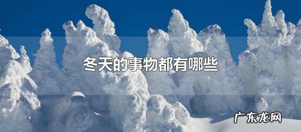 象征冬天的东西有哪些,冬天的象征物有哪些