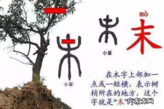 指事字本的由来,指事字和会意字的区别