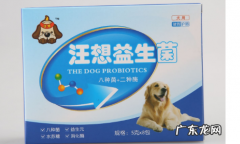 益生菌不放冰箱多久失效,狗狗益生菌和肠胃宝有什么不一样