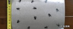 粘蝇板怎么吸引苍蝇 为什么粘苍蝇板不粘苍蝇