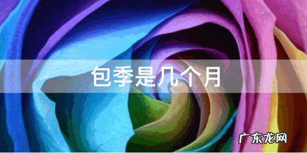 包季是几个月,网易云连续包季是几个月