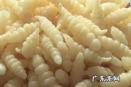 海原县美食推荐小吃有那些,宁夏美食有哪些