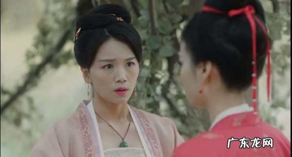 夏竦和贾玉兰有感情线吗?,夏竦在清平乐为什么是奸臣