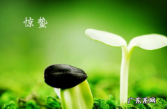 惊蛰有什么气候特征,惊蛰的气候特征是什么