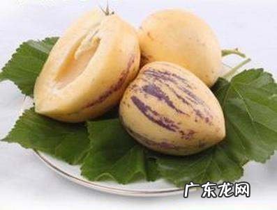 人参果怎样才是熟了,人参果怎么看是否成熟