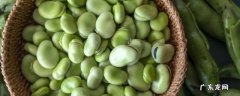 蚕豆怎么放冰箱冷冻 蚕豆怎么保存冷冻