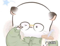 四毛和八毛是什么动物,八毛和四毛哪个是女生怎么区分