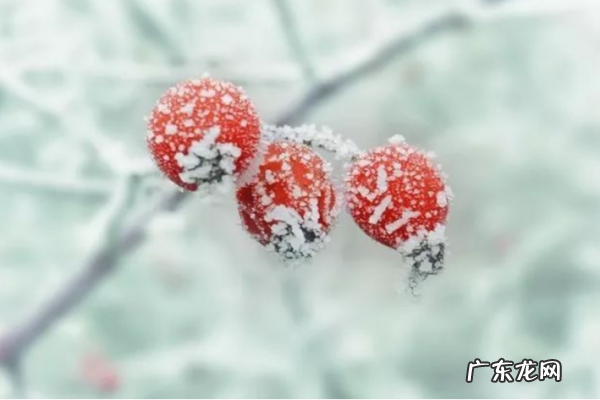 霜降的降是什么意思,霜降代表什么意思