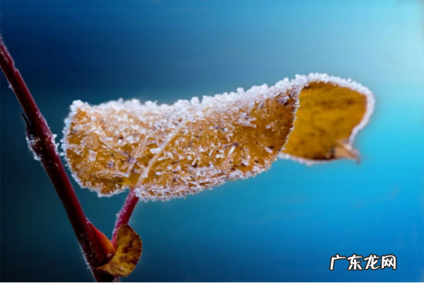 霜降的降是什么意思,霜降代表什么意思