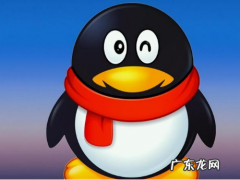 qq手机在线什么意思,qq手机在线是什么状态和2g在线区别