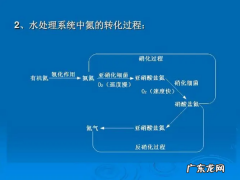 污水氨氮高了怎么处理,污水厂出水氨氮超标控制方法