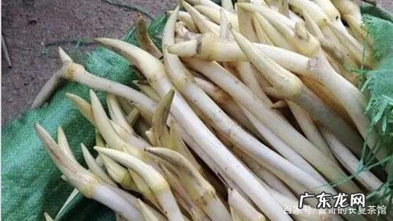 藕带是莲藕哪个部位,藕带是什么部位的